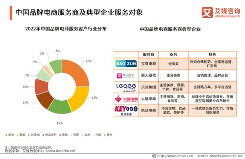 2023年中國品牌電商服務商行業研究報告 信息咨詢服務的演進與展望